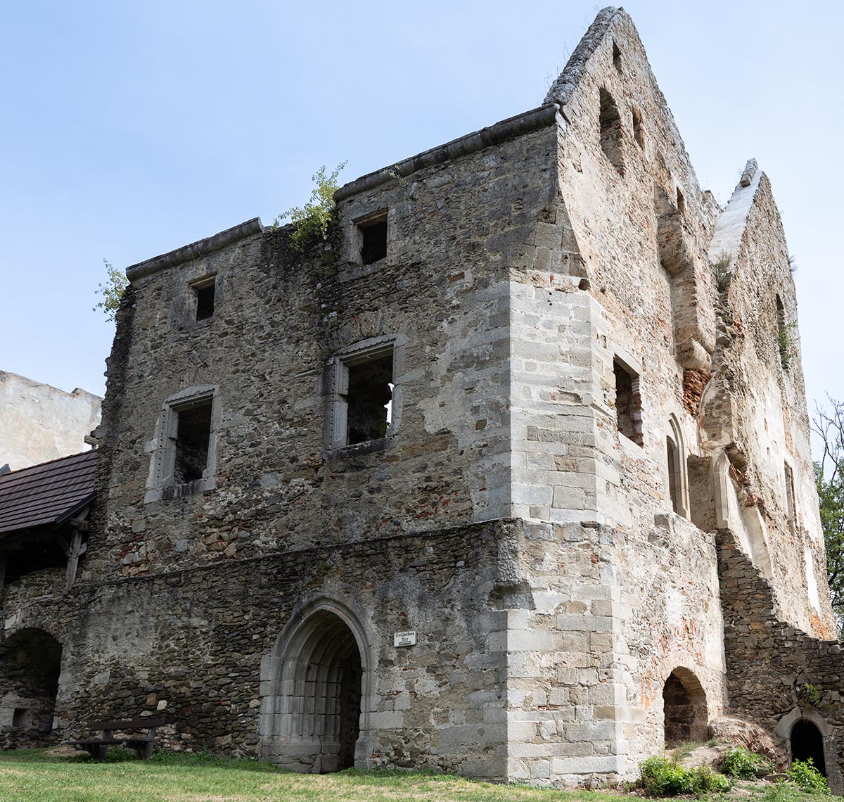 Palas